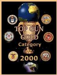 TopGun on the Net 2000, Gold Category Winner